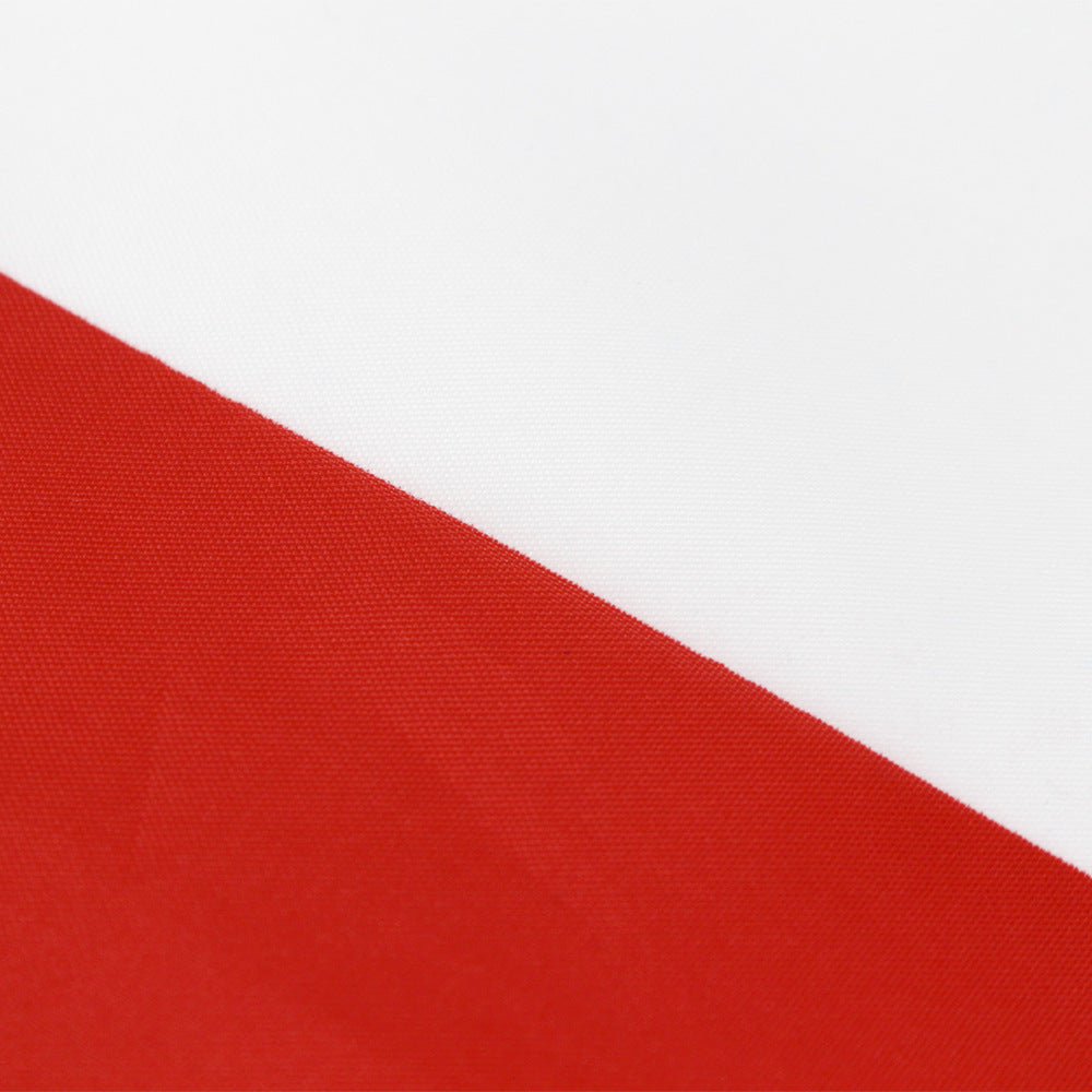 UAE 90 150cm UAE Polyester Banner